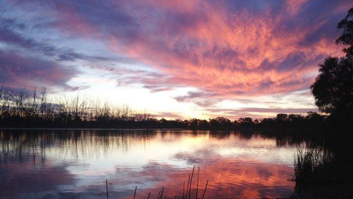 Murray-Darling Basin: SA accused of holding Murray River to ransom over future of billion-dollar plan