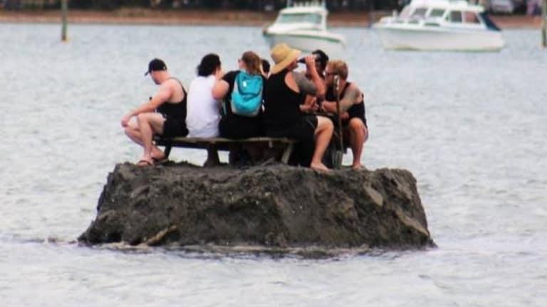 New Year's revellers build sandcastle in New Zealand estuary to avoid liquor ban